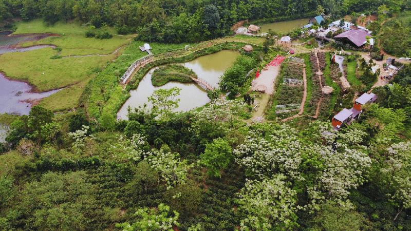 https://files.locallife.asia/images/800/1765030216905-Thiết kế chưa có tên (16).png